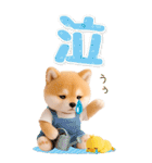 癒し柴犬の気軽な敬語スタンプ【BIG】（個別スタンプ：40）