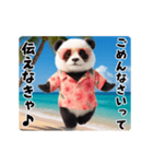 夏の♡エッホ♪エッホ♪パンダ（個別スタンプ：21）