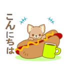 【犬屋】うちの子1番(チワワ)（個別スタンプ：3）