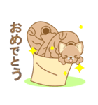 【犬屋】うちの子1番(チワワ)（個別スタンプ：7）