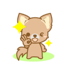 【犬屋】うちの子1番(チワワ)（個別スタンプ：14）