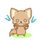 【犬屋】うちの子1番(チワワ)（個別スタンプ：15）