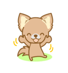 【犬屋】うちの子1番(チワワ)（個別スタンプ：16）