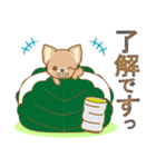 【犬屋】うちの子1番(チワワ)（個別スタンプ：26）