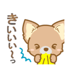 【犬屋】うちの子1番(チワワ)（個別スタンプ：29）