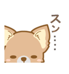 【犬屋】うちの子1番(チワワ)（個別スタンプ：30）