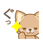【犬屋】うちの子1番(チワワ)（個別スタンプ：31）