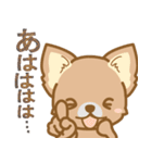 【犬屋】うちの子1番(チワワ)（個別スタンプ：33）