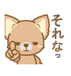 【犬屋】うちの子1番(チワワ)（個別スタンプ：34）