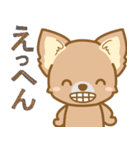 【犬屋】うちの子1番(チワワ)（個別スタンプ：35）