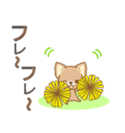 【犬屋】うちの子1番(チワワ)（個別スタンプ：39）