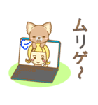【犬屋】うちの子1番(チワワ)（個別スタンプ：40）