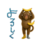 mottoのクールな動物達♡デカ文字（個別スタンプ：7）