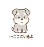 たたずみシュナのゆるっと毎日スタンプ（個別スタンプ：1）