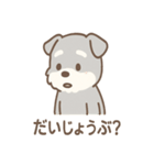たたずみシュナのゆるっと毎日スタンプ（個別スタンプ：5）