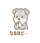 たたずみシュナのゆるっと毎日スタンプ（個別スタンプ：6）