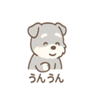 たたずみシュナのゆるっと毎日スタンプ（個別スタンプ：8）