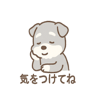 たたずみシュナのゆるっと毎日スタンプ（個別スタンプ：9）