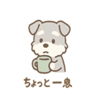 たたずみシュナのゆるっと毎日スタンプ（個別スタンプ：12）