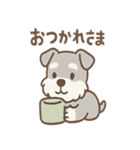 たたずみシュナのゆるっと毎日スタンプ（個別スタンプ：13）