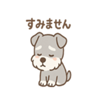 たたずみシュナのゆるっと毎日スタンプ（個別スタンプ：17）