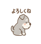 たたずみシュナのゆるっと毎日スタンプ（個別スタンプ：18）