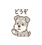 たたずみシュナのゆるっと毎日スタンプ（個別スタンプ：20）