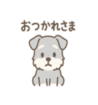 たたずみシュナのゆるっと毎日スタンプ（個別スタンプ：21）