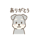 たたずみシュナのゆるっと毎日スタンプ（個別スタンプ：22）