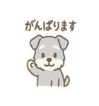 たたずみシュナのゆるっと毎日スタンプ（個別スタンプ：24）