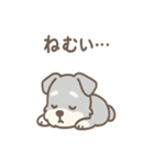たたずみシュナのゆるっと毎日スタンプ（個別スタンプ：25）
