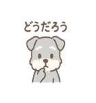 たたずみシュナのゆるっと毎日スタンプ（個別スタンプ：26）