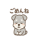 たたずみシュナのゆるっと毎日スタンプ（個別スタンプ：35）