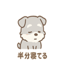 たたずみシュナのゆるっと毎日スタンプ（個別スタンプ：38）