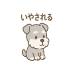 毎日使えるたたずみシュナのんびりスタンプ（個別スタンプ：1）