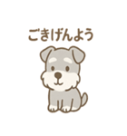 毎日使えるたたずみシュナのんびりスタンプ（個別スタンプ：4）