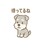 毎日使えるたたずみシュナのんびりスタンプ（個別スタンプ：10）
