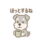 毎日使えるたたずみシュナのんびりスタンプ（個別スタンプ：12）