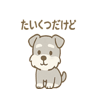 毎日使えるたたずみシュナのんびりスタンプ（個別スタンプ：13）