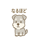 毎日使えるたたずみシュナのんびりスタンプ（個別スタンプ：14）