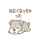 毎日使えるたたずみシュナのんびりスタンプ（個別スタンプ：15）
