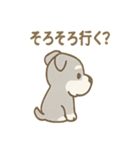 毎日使えるたたずみシュナのんびりスタンプ（個別スタンプ：16）
