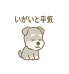 毎日使えるたたずみシュナのんびりスタンプ（個別スタンプ：17）