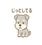 毎日使えるたたずみシュナのんびりスタンプ（個別スタンプ：20）