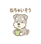 毎日使えるたたずみシュナのんびりスタンプ（個別スタンプ：21）