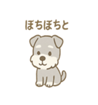 毎日使えるたたずみシュナのんびりスタンプ（個別スタンプ：25）