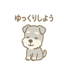 毎日使えるたたずみシュナのんびりスタンプ（個別スタンプ：29）