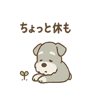 毎日使えるたたずみシュナのんびりスタンプ（個別スタンプ：33）