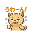 ぬいぐるみねこ vol.1（個別スタンプ：6）