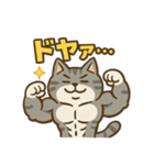 マッチョなねこ vol.1（個別スタンプ：1）